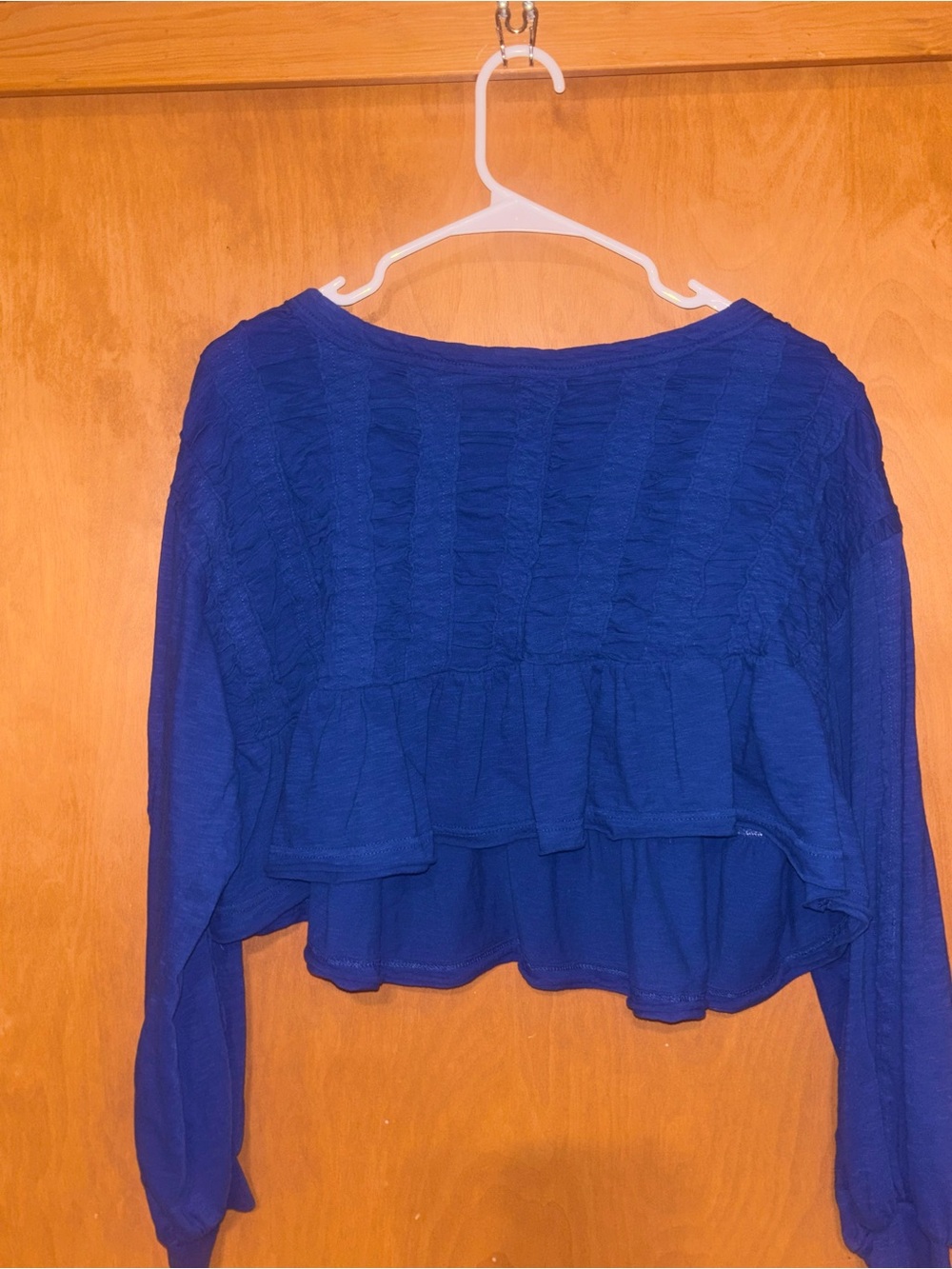 Pilcro Anthropologie Blue Smocked Ruffle Peplum Long Sleeve Top Size M